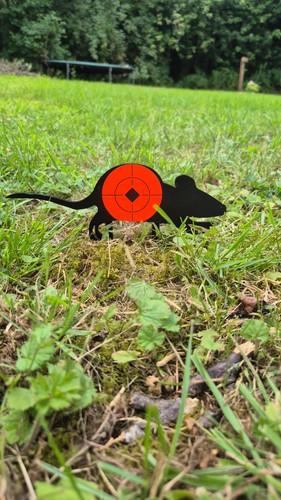 Air rifle targets - rifle, rat