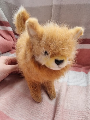 Realistic pomeranian dog - pomeranian, soft