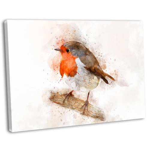 Robin watercolour painting - robin,