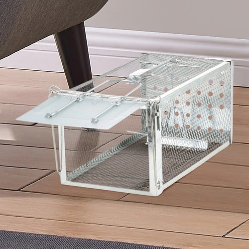 Rat trap mouse catcher - mouse,