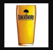 2 X NEW BLACKTHORN CIDER PINT