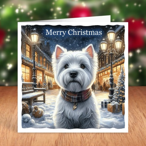 West highland white terrier - highland,