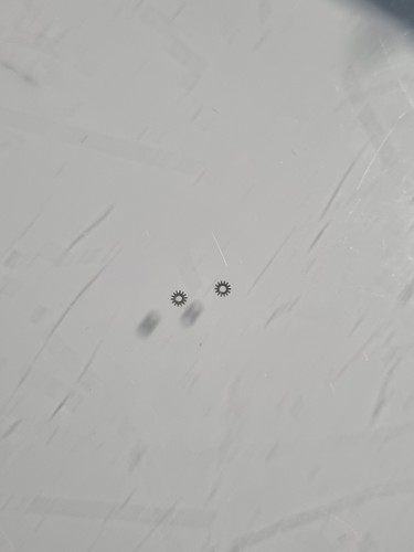 Rolex 3135 part 250 setting - rolex,