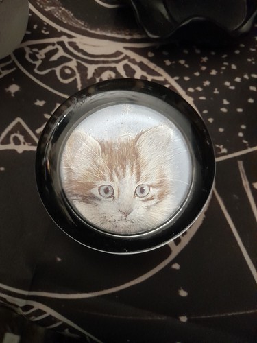 Glass paperweight with - glass,