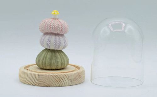 001 floral glow garden dome - -,
