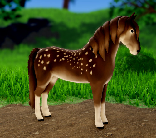Wild horse islands 22 - wild,