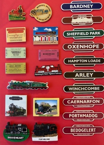 Souvenir fridge magnet - fridge,
