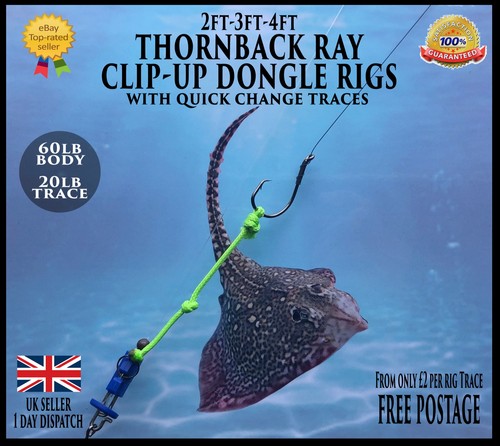 Sea rigs thornback ray clip - sea, rigs,