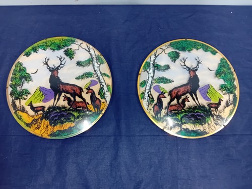 Pair vintage domed glass - vintage,