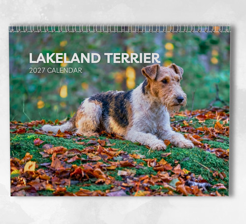 Lakeland terrier calendar - lakeland,