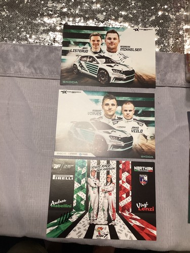 Skoda wrc erc - &,