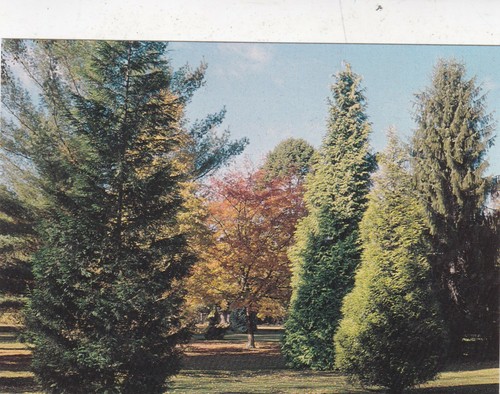 Wisley royal hortiultural - wisley,