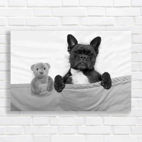French bulldog dog sleeping - bulldog,