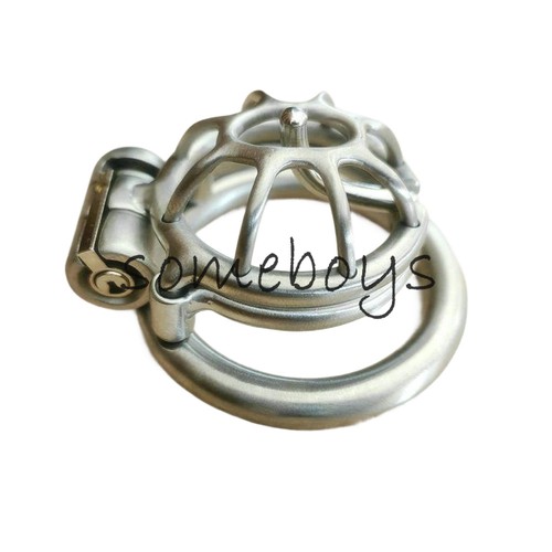 Custom stainless prince albert - prince,