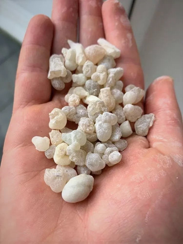 Royal green hojari boswellia - green,
