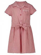 Girls Blue Red Gingham School