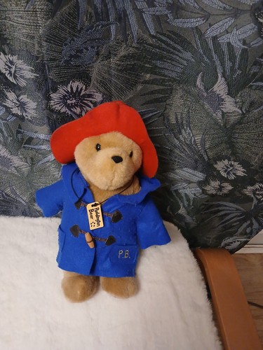 Original paddington bear teddy - paddington,