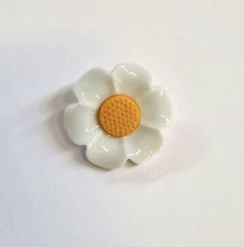 White and Yellow Daisy Shank