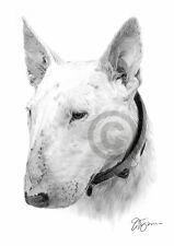 ENGLISH BULL TERRIER Pencil Drawing Print A3 / A4 sizes signed by artist