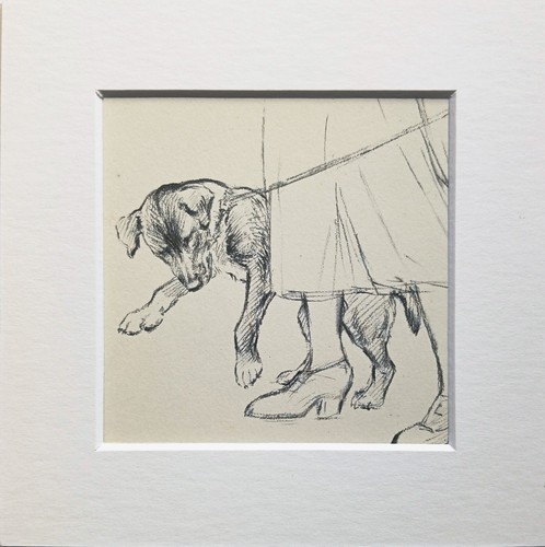 Mongrel puppy dog - , sketch