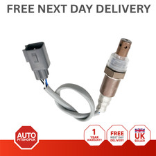 NEW BEFORE CAT LAMBDA O2