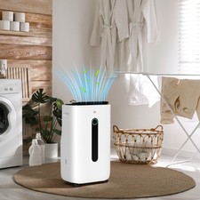 20L/Day 6.5L Dehumidifier with