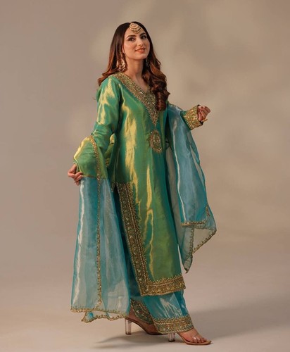 Indian pakistani ethnic salwar - ethnic,