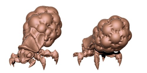Fantasy world miniatures - , x3