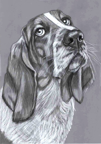 Original pencil drawing - b&w,