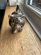 Winstanley Dark Tabby Cat