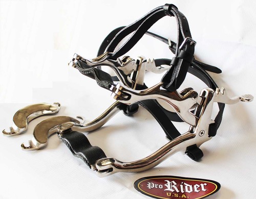 Horse care farrier tool - horse,