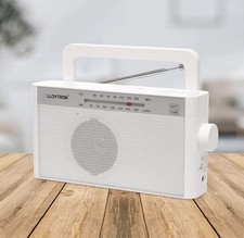 Lloytron Rhythm AM FM Portable