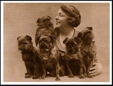 BRUSSELS GRIFFON DOG ART PRINT