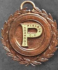 Vintage norwood paragon 30 - vintage,