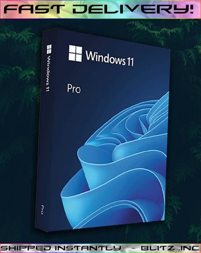 Windows pro activation - windows, 11