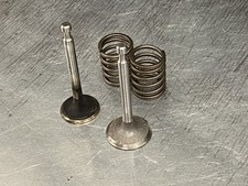 Honda GX160 valves and springs