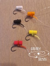 Carp fishing ready made - carp,