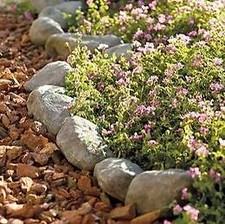 14 Pack Outdoor Garden Stone