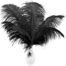 10PCS Large Ostrich Feathers