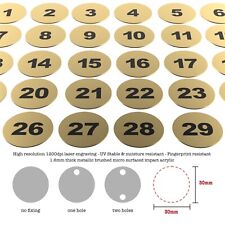 1-100 Laser Engraved Number