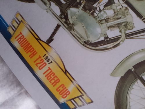 Triumph t20 tiger cub 1957 - triumph,