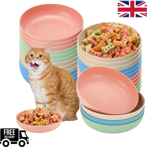 Pack shallow cat bowls - bowls, –