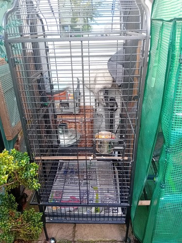Large parrott cage suitable - parrott,