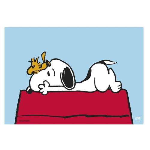Snoopy doghouse desk - snoopy,