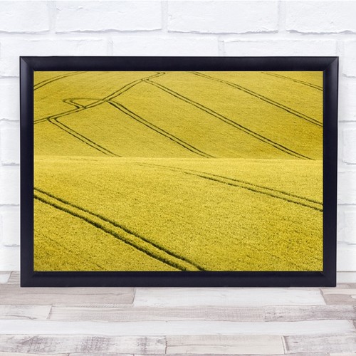Field landscape countryside - field,