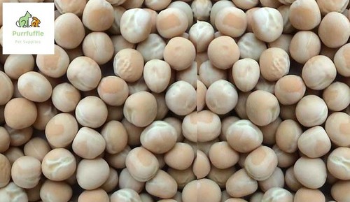 20kg white peas racing - white,