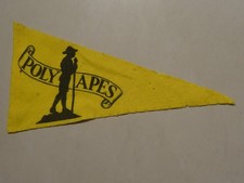 Polyapes {Camp Site} Scout