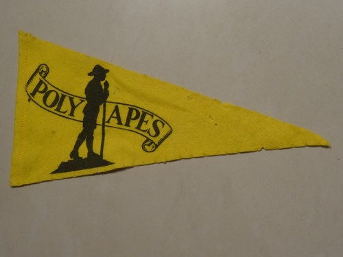 Polyapes camp site - polyapes, scout