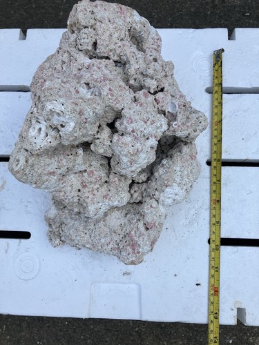 Pl8 unique dry - pl8, tonga