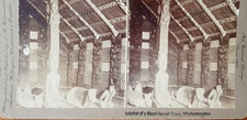 Maori Interior Carved House Stereoview Photo 1902 New Zealand Whakarewarewa